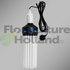 CFL Accessories-CFL E40 Lampholder with 4m Lead