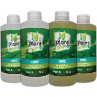 DWC (2-part) 1L