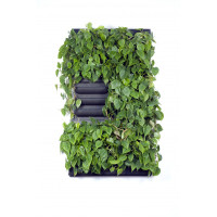 Loving walls | Levende muur | Groene wand | Living wall | 87 x 157 cm | 2x3 