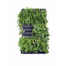 Loving walls | Levende muur | Groene wand | Living wall | 87 x 157 cm | 2x3 