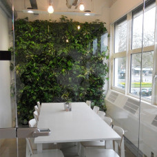 Loving walls | Levende muur | groene wand | Living wall | 248 x 206 cm | 6x4