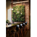 Loving walls | Levende muur | Groene wand | Living wall | 127 x 109 cm | 3x2