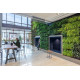 Living walls - Vertical garden Living walls - Vertical garden