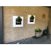 Livepicture Go (Wit)| Planten schilderij | Levende kunst | Living wall | 52 x 52 x 11 | small