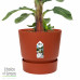 Bananenplant in Elho® Greenville pot