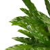 Decorum Calathea Bluegrass met Elho brussels antracite