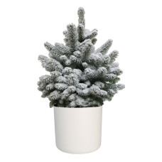 Picea Sneeuw  in ELHO b.for soft rond sierpot (wit)