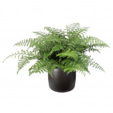 ELHO ® Pure Beads Small Ø 40 (Walnootbruin) met Asplenium Parvati