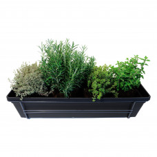 Mix van kruiden in ELHO ® Green Basics balkonbak (Living Black) met metalen balkonrek