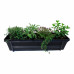 Mix van kruiden in ELHO ® Green Basics balkonbak (Living Black) met metalen balkonrek