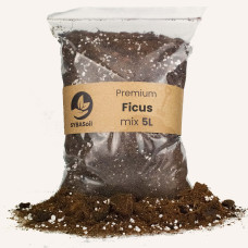 Ficus mix 5L